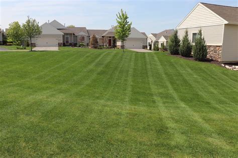 Grass Seed in Clarksville, TN 37042 Call 888-319-6664