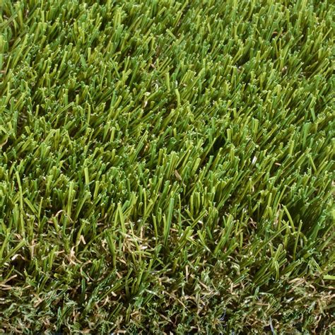 Grass at lowes. How to Water New and Established Lawns. You must keep newly seeded lawns moist with light, frequent watering in order for the seeds to germinate. Keep the soil moist (but not saturated) until the new seedlings are about 1 inch tall. Be careful: Too much water can rot the seeds or wash them away. 