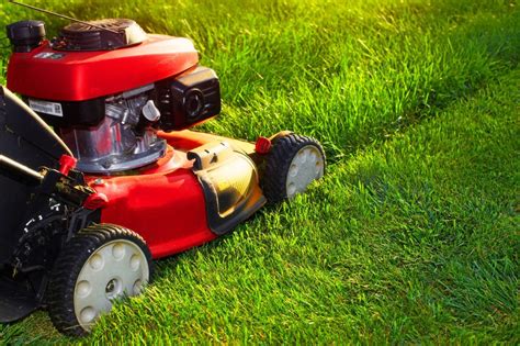 Grass care. Things To Know About Grass care. 