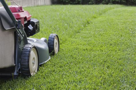 Grass cutting. Choosing the Right Height · In order for your grass to stay healthy and soak up the necessary sun, never remove more than one-third of the grass blade at any ... 