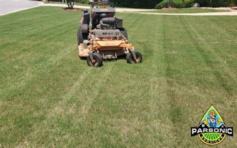 Location (from the street): Back yard Customer neglected to have back yard mowed, so grass is long and extremely thick and needs multiple cuts. . 