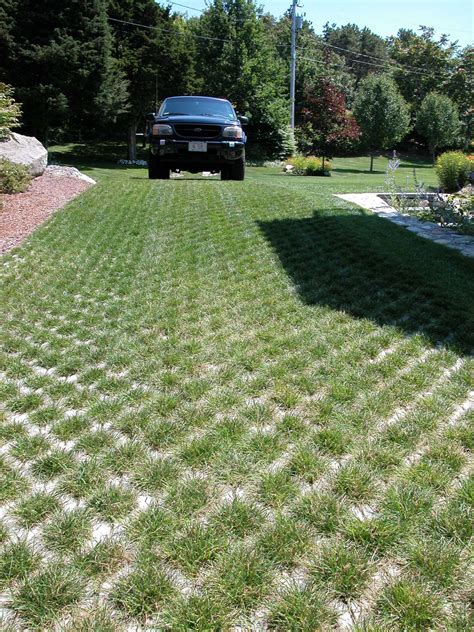 Grass driveway pavers. Grass driveway pavers are available in a variety of different forms and are manufactured by a number of different manufacturers. Aside from the following options, another method of stabilizing soil for vehicular traffic is by using a cellular confinement panel. 