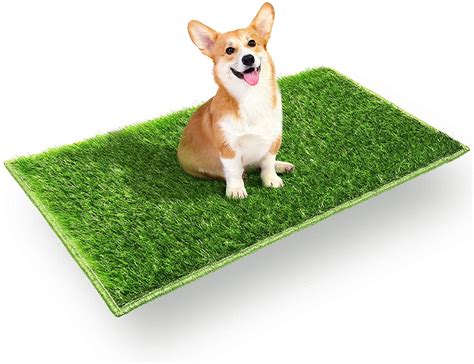 Grass pads. Updated May 19, 2023 4:14 pm. Say goodbye to indoor potty accidents when you train your pup to use a grass pad. While we’d all love a big, enclosed backyard for our pooch to do his business,... 