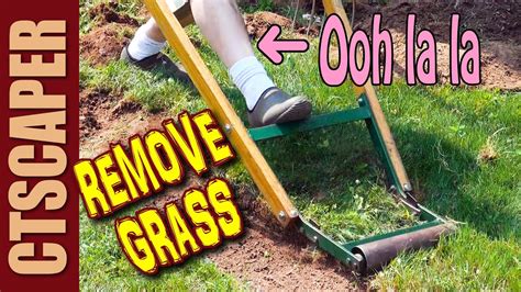 Grass removal. Fall lawn renovations can be done in a few different ways. Removing the lawn with a sod cutter is the way Koven is starting his renovation! Come along with m... 