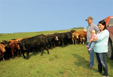 Grasser, backgrounding cattle operation in Sask. hits the spot