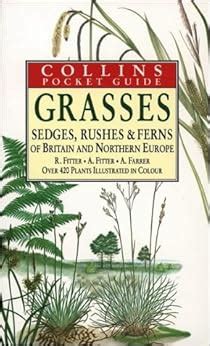 Grasses sedges rushes and ferns of britain and northern europe collins pocket guide. - Ingersoll rand 160 air compressor maintenance manual.