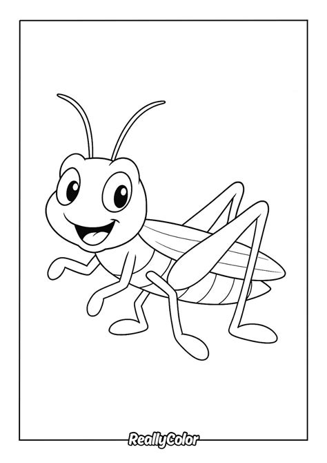 Grasshopper Coloring Shee