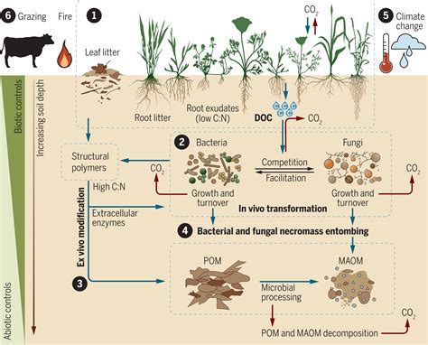 Grassland ecosystem responses to climate change …