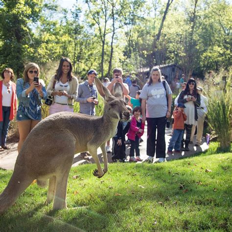 Grassmere zoo. Things To Know About Grassmere zoo. 