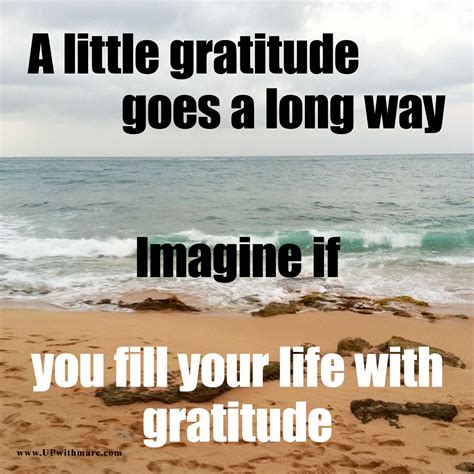 The best gratitude quotes and memes for Thanksgiving about how to be thankful that you can share on social media with your friends and family for the holiday weekend. 50 Best Gratitude... . 