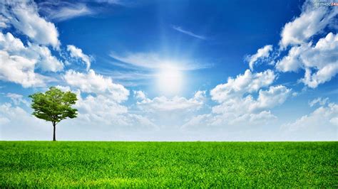 Gratis bilder att ladda ner