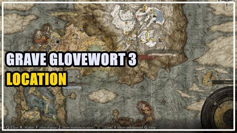 Where to find Grave Glovewort [3]:4x found inside the Road's End Catacombs: 1) In the room with the boss' door lever, drop down one level to find it on the f.... 