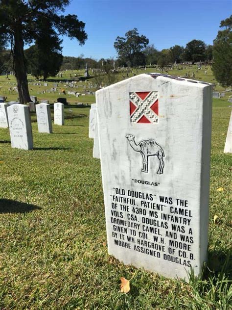 Grave of Douglas the Confederate Camel – Vicksburg, Mississippi