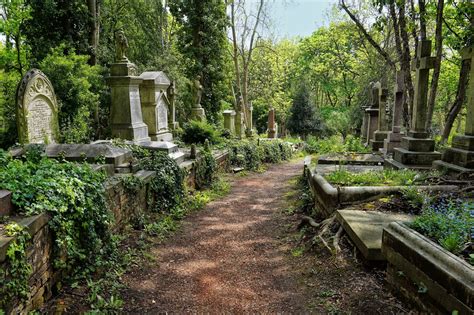 Grave yard. Things To Know About Grave yard. 