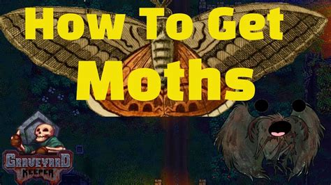 Graveyard keeper moths. Things To Know About Graveyard keeper moths. 