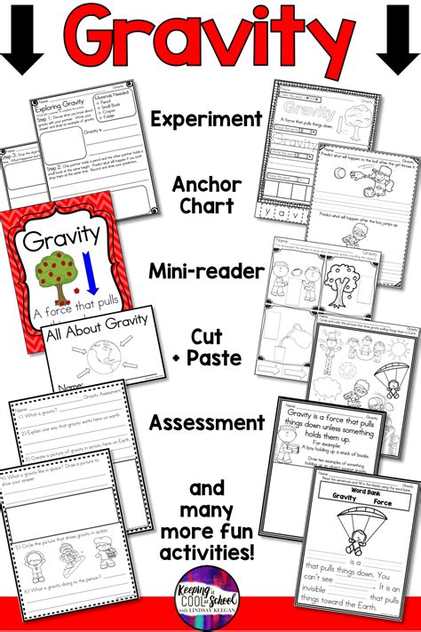 Gravity Activity Teaching Resources TPT