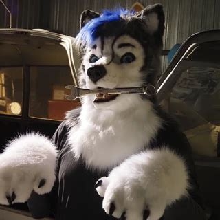 🍌 Gravitystormhusky Onlyfans Leak XXX
