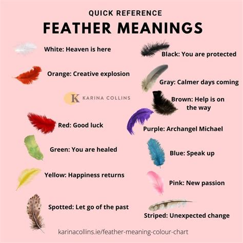 Gray Feather Spiritual Meaning & Symbolism - (Answered)