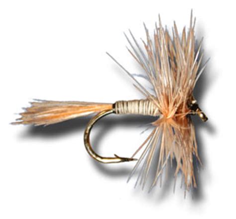 Gray Fox Fly Patterns - The Fly Shack Fly Fishing