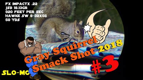 Gray Squirrel Smackshot #1 of 2024 – Hajimoto Productions LLC