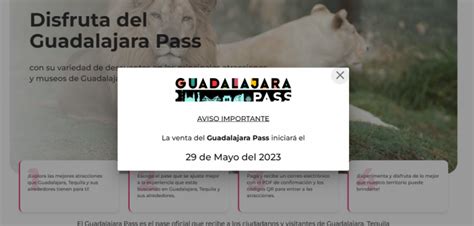 Gray Walker Whats App Guadalajara