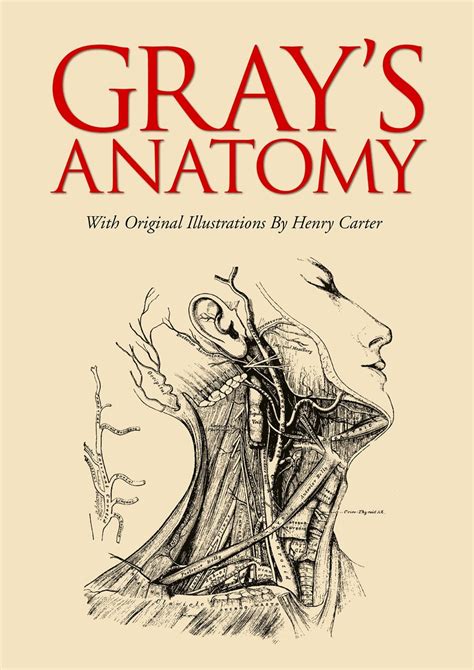 Read Grays Anatomy By Henry Gray