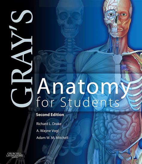 Read Online Grays Anatomy For Students By Richard L Drake