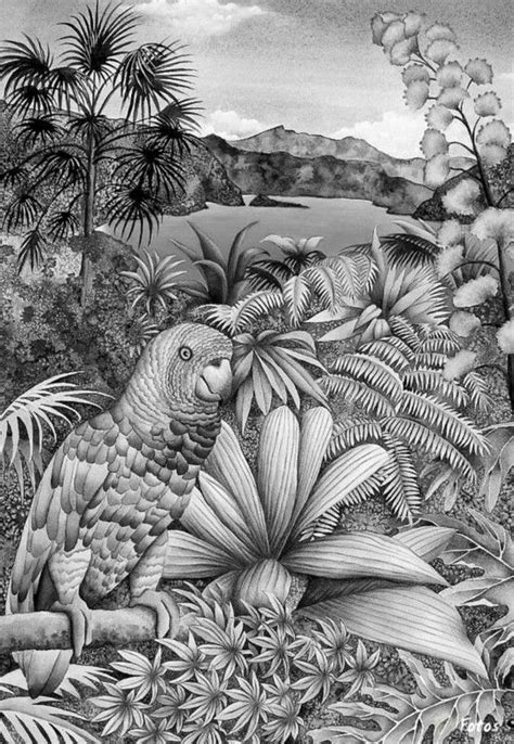 Grayscale Coloring Pages Kidsworksheetfun