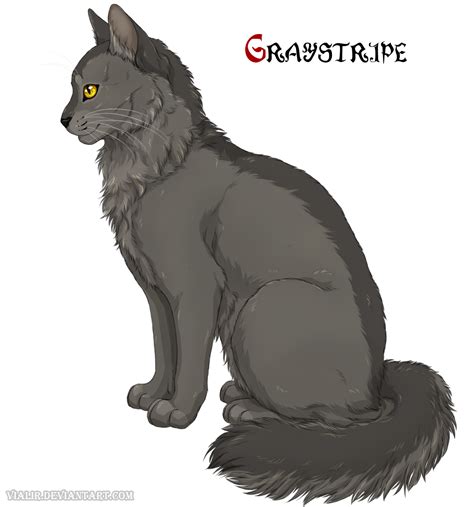 Tigerstar is a big, dark brown tabby tom with unusually long front claws, and amber eyes. . Graystripe