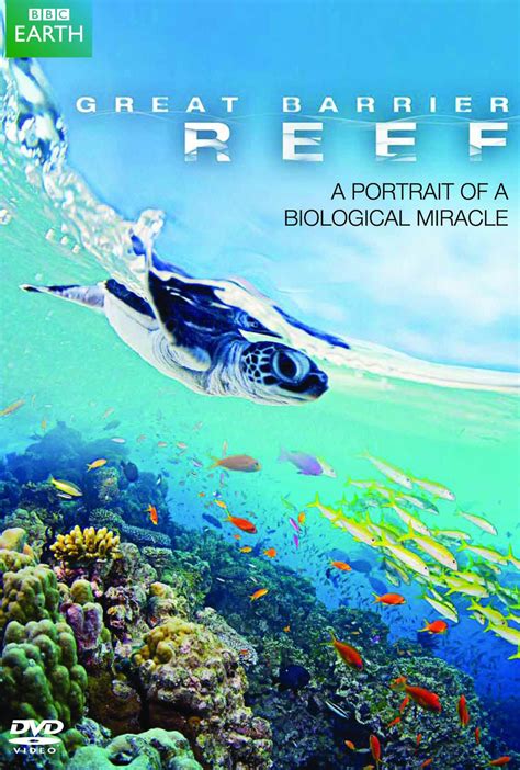 Great Barrier Reef (2012 TV series) - Wikipedia