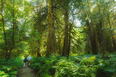 Great Bear Circle Tour – Tourism Bella Coola