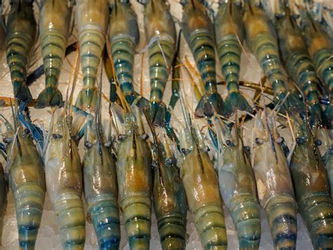 Great British Prawns