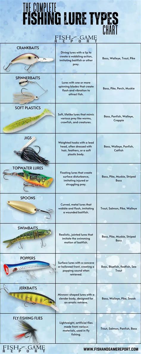 Great Fishing Lure Types Chart in 2023 Unlock more insights!