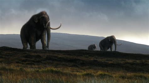 Great Mammoth Mystery NOVA WKAR Public Media