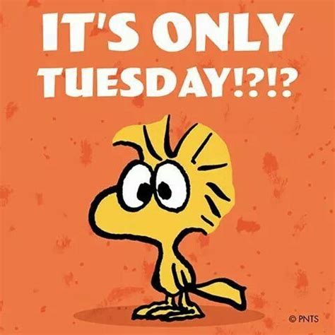 Great Monday….Not So Much Tuesday
