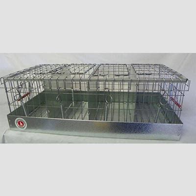 Great Northern Cage Co. Premier Rabbit & Cavy Equipment