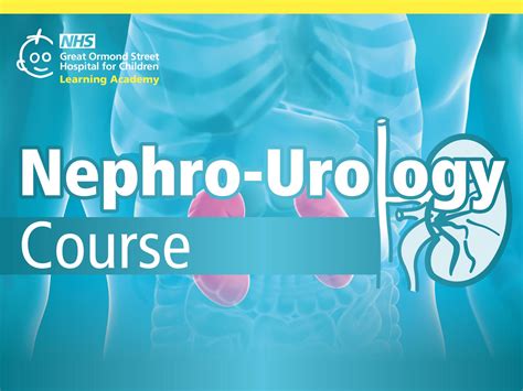 Great Ormond Street Hospital - Nephro-Urology Course - GOSH …