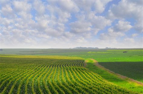 Great Plains & South Plains, Emerald Park Shoppers Drug Mart®