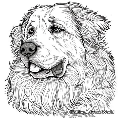 Free Coloring Pages For Teens
