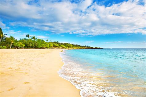 Great beaches in hawaii. Jun 26, 2019 · Fact checked by. Michelai Graham. TripSavvy / Taylor McIntyre. Our picks for the best beaches in Hawaii include four beaches from each of the major islands, Hawaii Island (the Big Island), Kauai, Maui, and Oahu. We also include two beaches on the island of Lana'i and one on Moloka'i. Our list is presented in alphabetical order by island. 