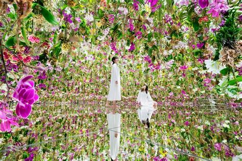 Great experience! - Review of teamLab Planets TOKYO ... - Tripadvisor