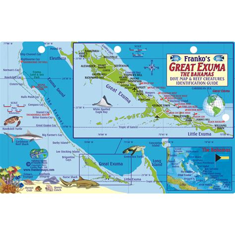 Great exuma bahamas dive map reef creatures guide franko maps. - 115 hp etec evinrude repair manual.
