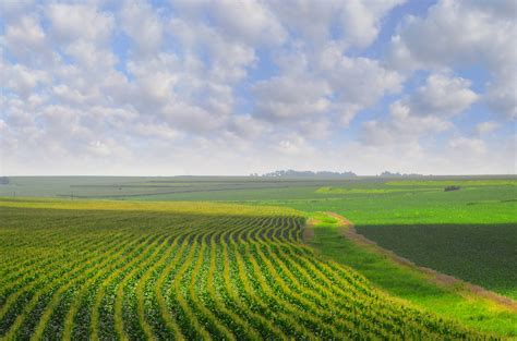 Great plains agriculture. Things To Know About Great plains agriculture. 