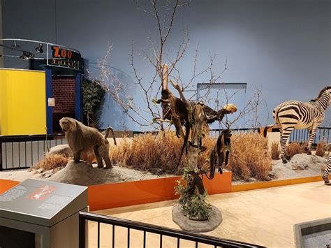 Great plains zoo & delbridge museum. A video tour of the Great Plains Zoo's Delbridge Museum. A museum full of interactive taxidermied animals from around the world!Watch the full video and revi... 
