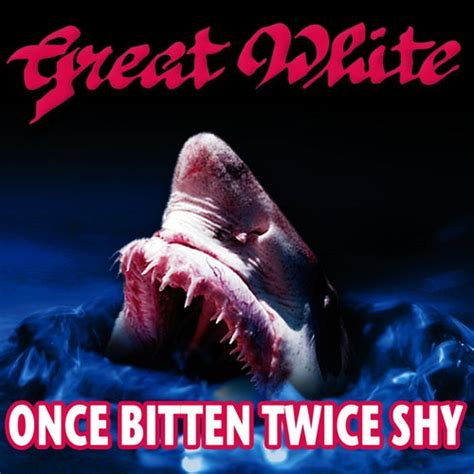Great white once bitten twice shy. Things To Know About Great white once bitten twice shy. 