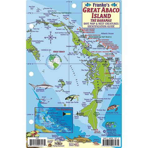 Read Great Abaco Island Bahamas Adventure  Dive Guide Franko Maps Waterproof Map By Not A Book