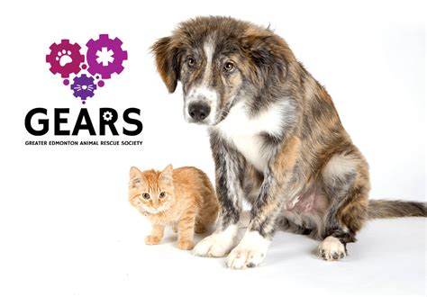 Greater Edmonton Animal Rescue Society - GEARS