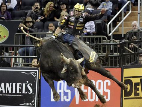 These are the 23 highest marked bull rides in PBR history. I