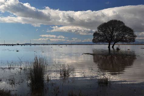 Greece’s wetlands are a nature lover’s dream - NEOS …