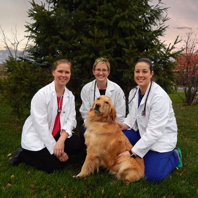 Greece Animal Hospital 3180 Latta Rd Ste 8, Rochester, NY …